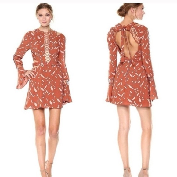 FINDERS KEEPERS Borderlines Papaya Vine Mini Perforated Dress Size XS $315 - Picture 1 of 4